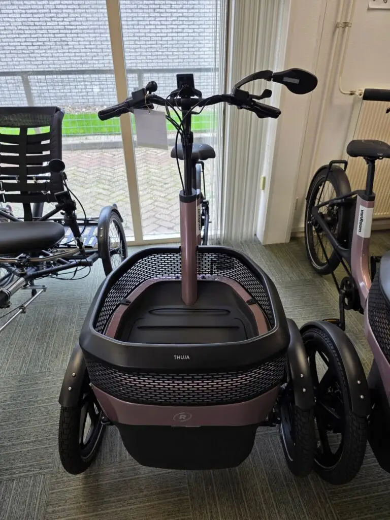 Van Raam Thuja Smooth Enviolo driewielfiets, actiefiets bij ViaErwin