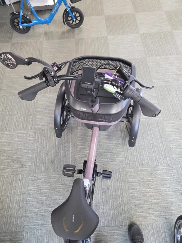 Van Raam Thuja Smooth Enviolo driewielfiets, actiefiets bij ViaErwin